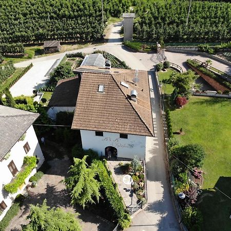 Al Trifoglio Bed and Breakfast Campodenno Εξωτερικό φωτογραφία