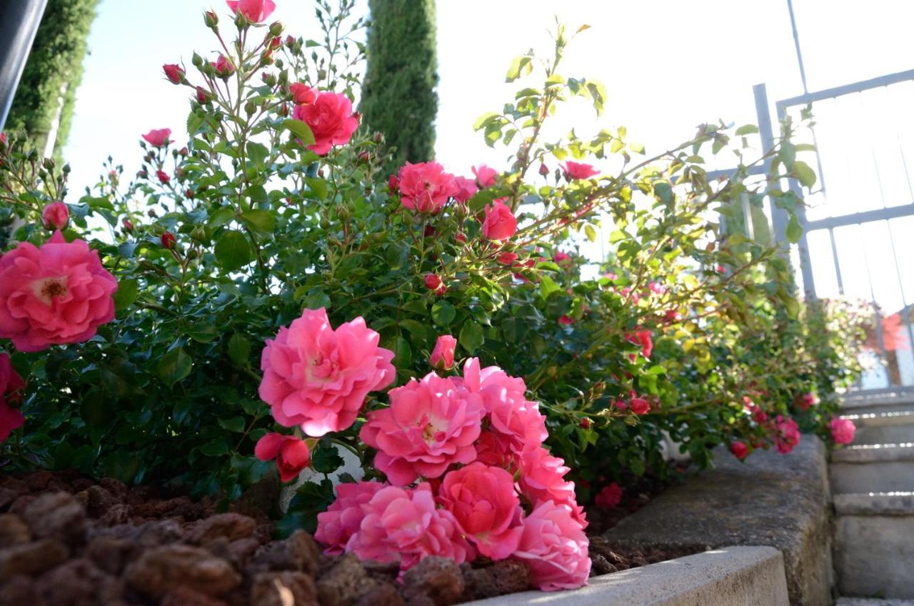 Al Trifoglio Bed and Breakfast Campodenno Εξωτερικό φωτογραφία