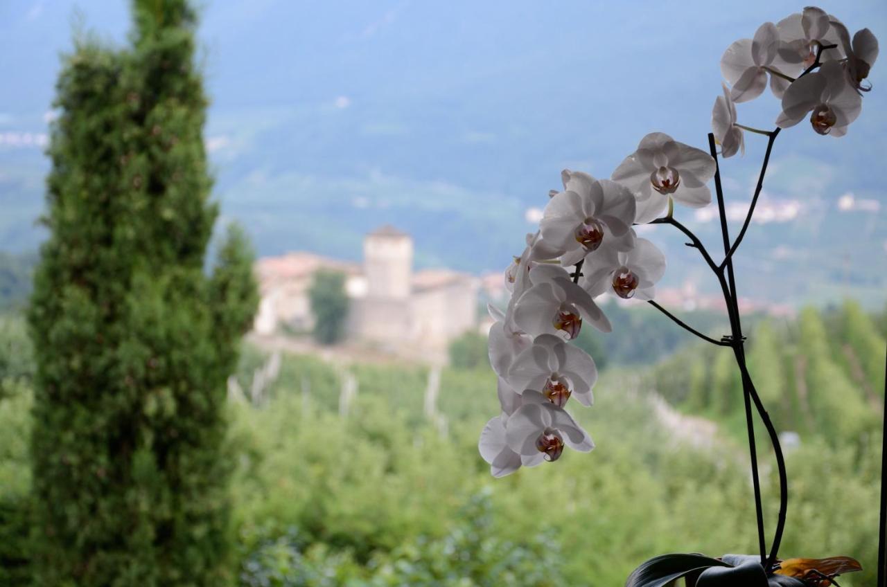 Al Trifoglio Bed and Breakfast Campodenno Εξωτερικό φωτογραφία